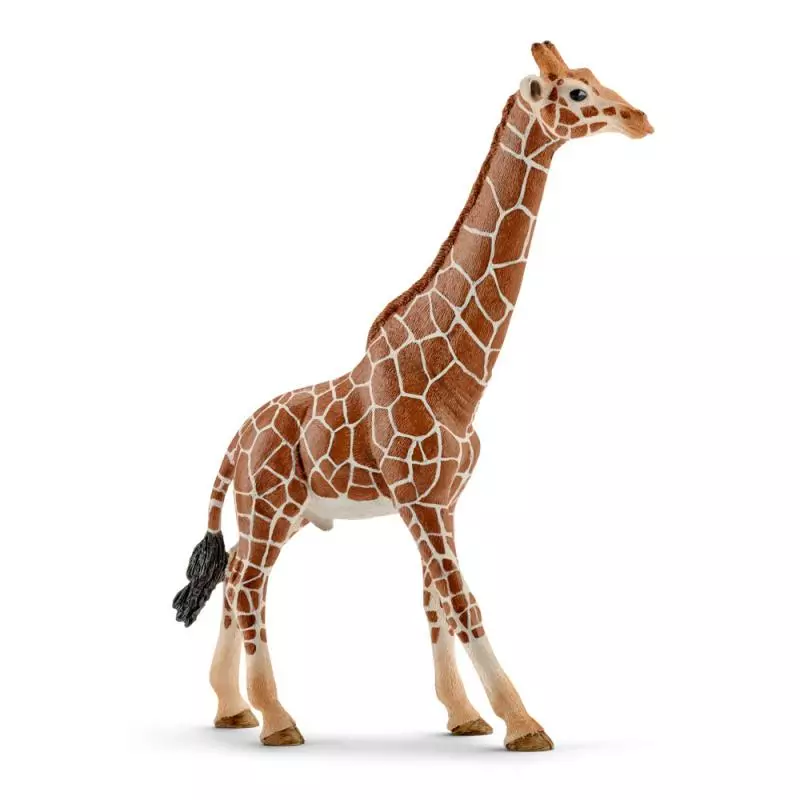 Schleich 14749 Zvířátko - samec žirafy