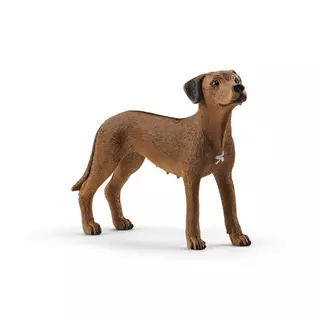 Schleich 13895 Zvířátko - pes ridgback rhodéský