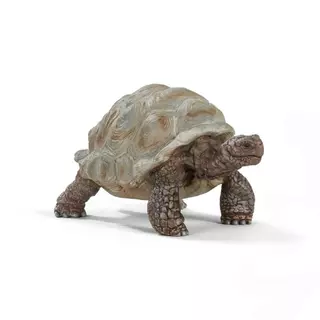 Schleich 14824 Zvířátko - želva obrovská