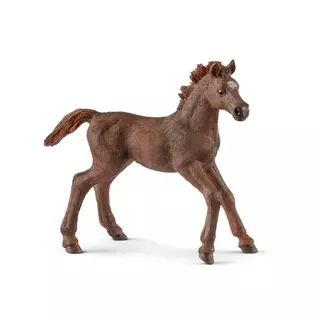 Schleich Zvířátko - anglické plnokrevné hříbě