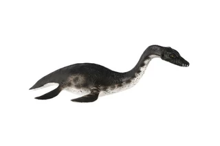 Plesiosaur zooted plast 23cm