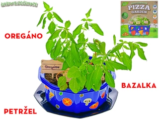 Grow&decorate - bylinky na pizzu 3druhy v PVC květináči s doplňky 6+ v krabičce
