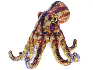 Chobotnice plyšová 26cm