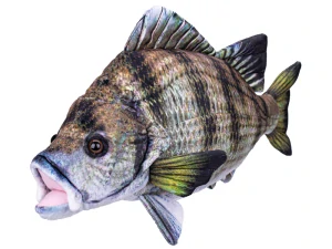 Mikro Trading Kapr plyšový 45cm 0m+