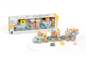 Teddies Vlak + 2 vagóny oceán dřevo tahací stavebnice 28 dílků v krabici 38x12x8cm 12m+