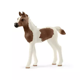 Schleich 13839 Zvířátko - hříbě Pintabianské