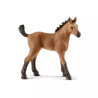 Schleich 13854 Zvířátko - hříbě plemene Quarter