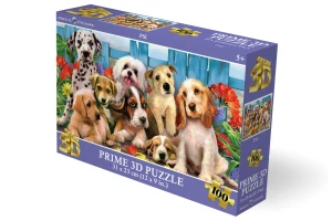 Lamps Puzzle 3D - Psi