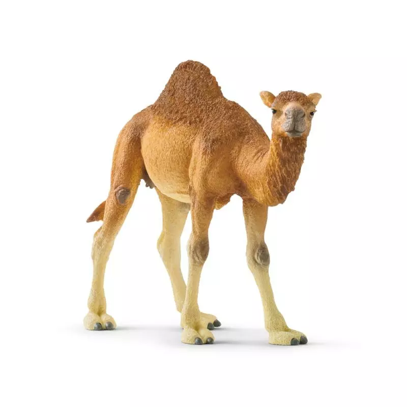 Schleich 14832 Zvířátko - dromedár