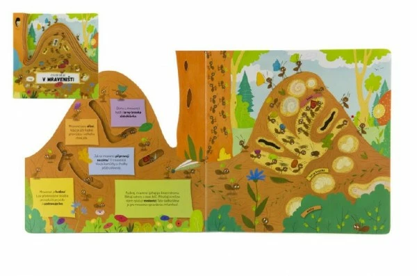 Albatros Knížka Co se děje v mraveništi 23x23x2 cm