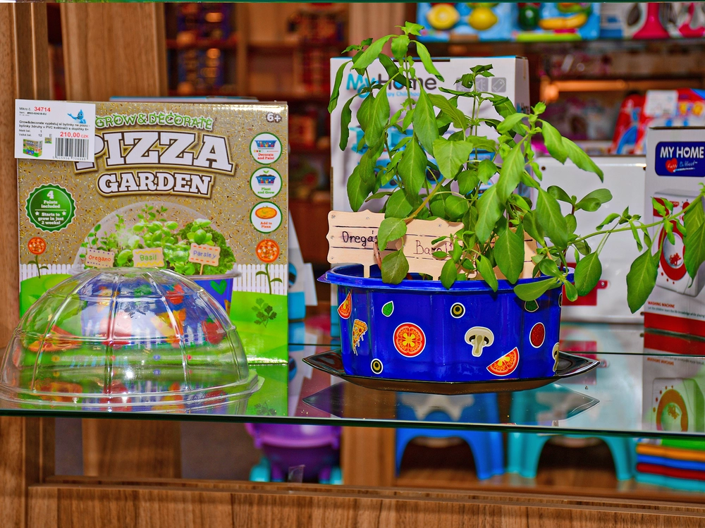 Grow&decorate - bylinky na pizzu 3druhy v PVC květináči s doplňky 6+ v krabičce