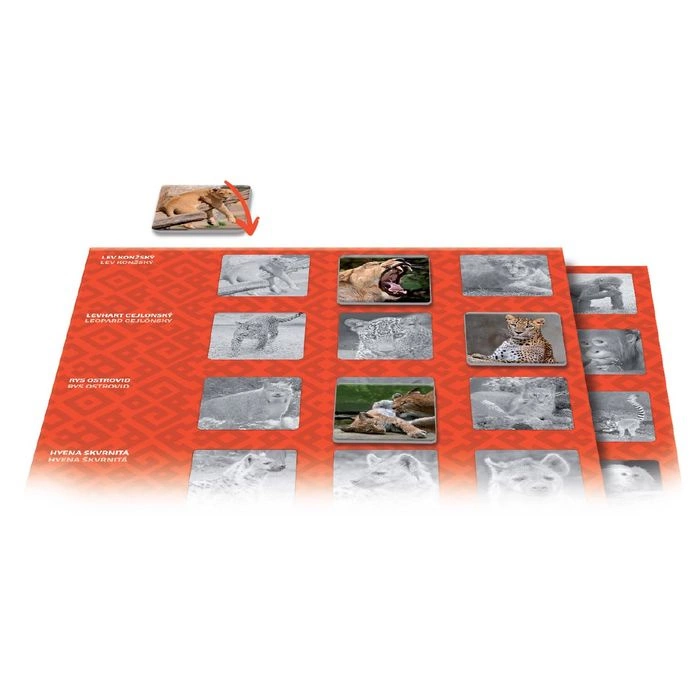 Betexa LotoTrio Zvířátka v ZOO 1