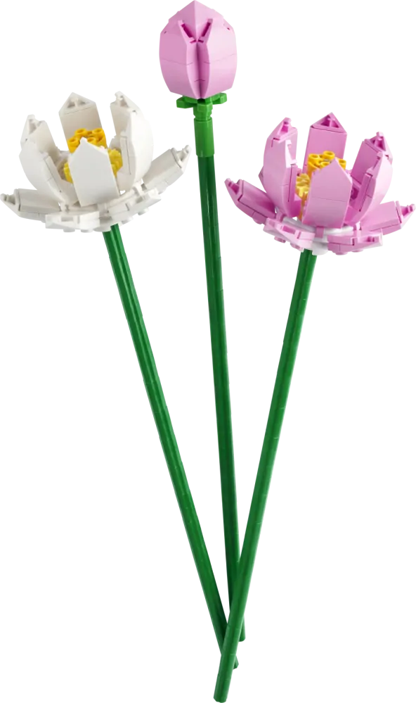 LEGO® Iconic 40647 Lotosové květy