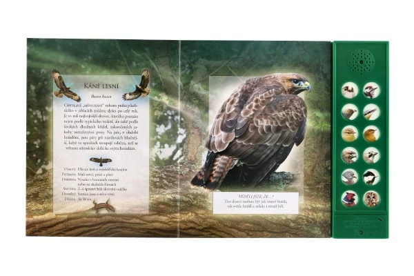 Zvuková knížka Ptáci našich lesů na baterie 22,5x21cm