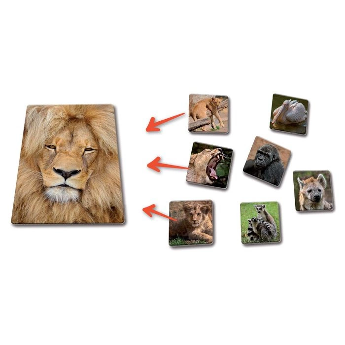 Betexa LotoTrio Zvířátka v ZOO 1