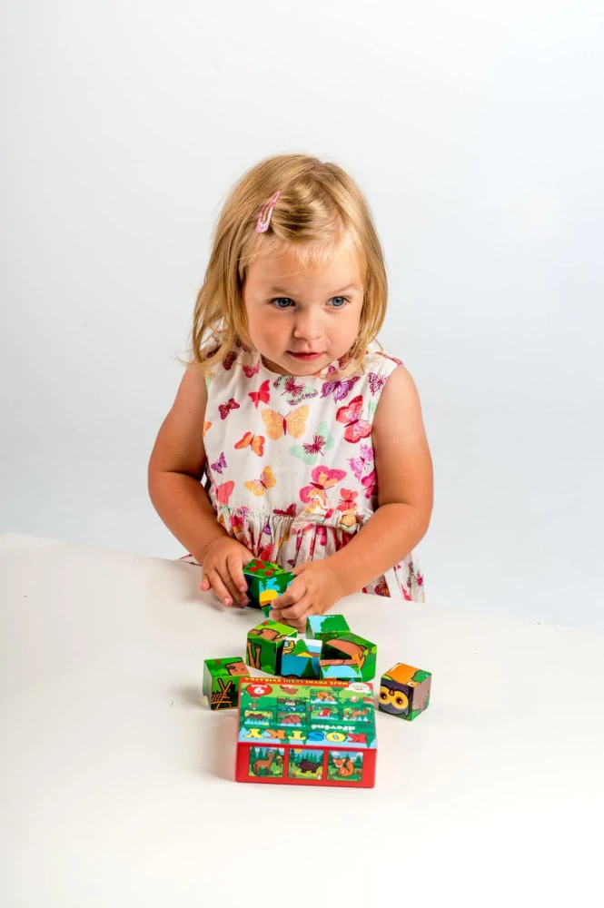 Teddies Kostky kubus dřevěné Moje první zvířátka lesní dřevo 9x9x3cm 9ks v krab.11x11x6cm od 12 měsíců MPZ