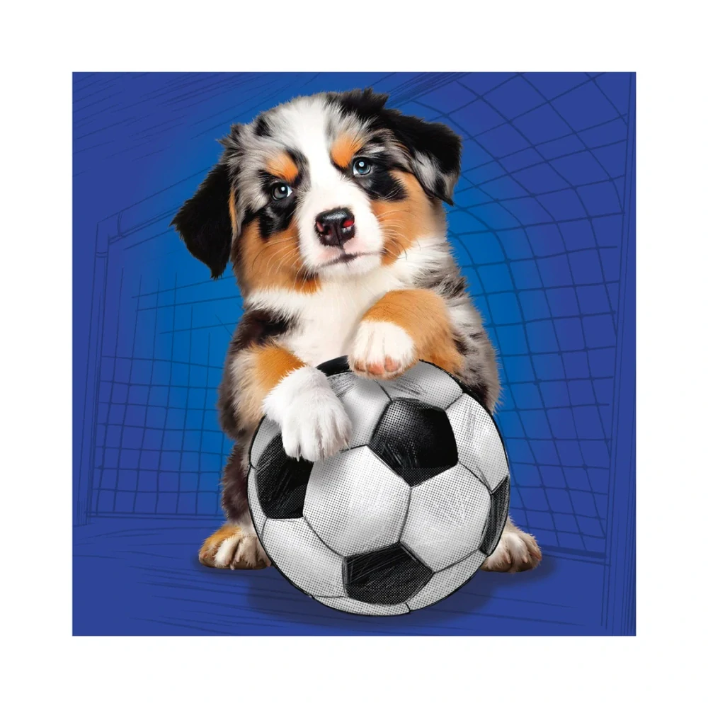 Dino Puzzle Psí sportovci 3x55 dílků