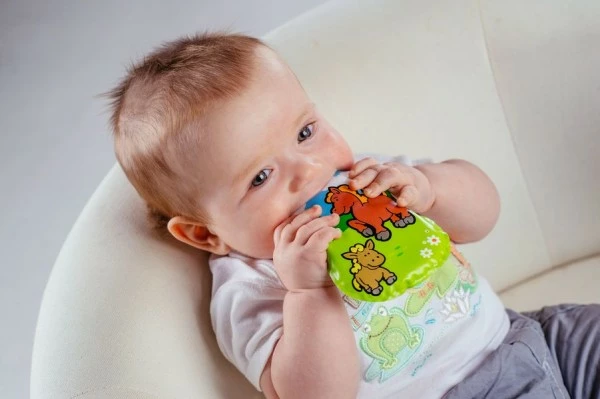 Teddies Polštářek Moje první zvířátka pískací 12 x 9 x 2 cm asst 6 druhů