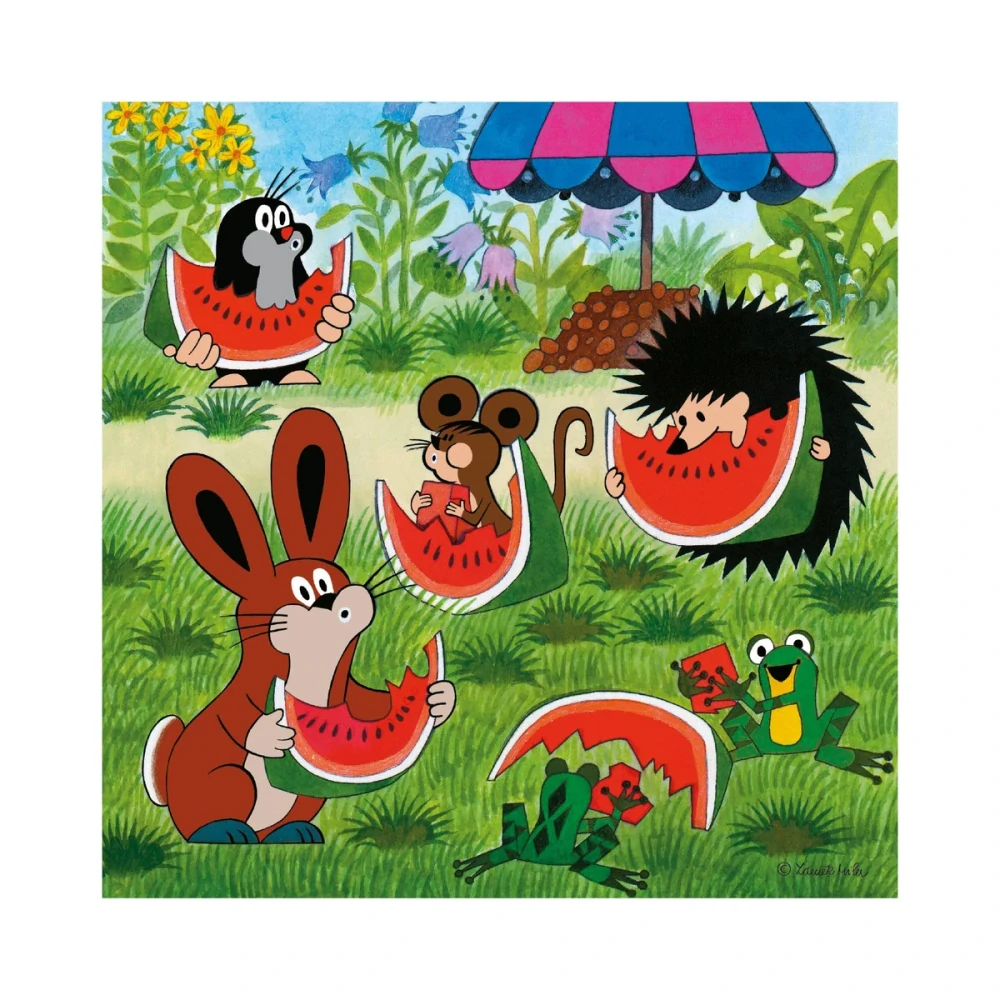 Dino Puzzle Krtek a paraplíčko 18x18cm 3x55 dílků