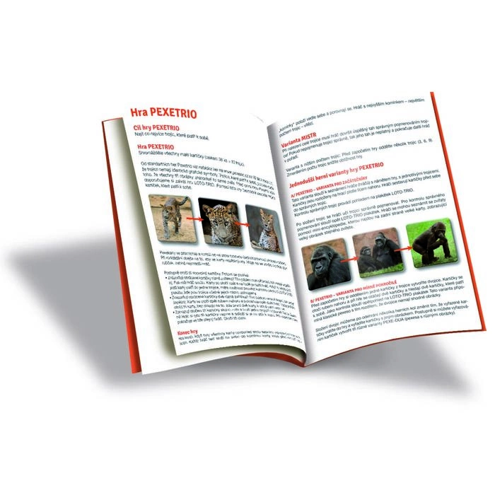 Betexa LotoTrio Zvířátka v ZOO 1