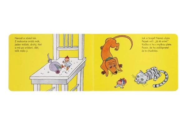 Albatros Knížka Paleček 24x16 cm