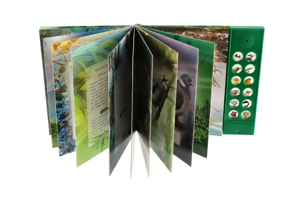 Zvuková knížka Ptáci našich lesů na baterie 22,5x21cm