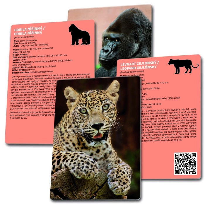 Betexa LotoTrio Zvířátka v ZOO 1