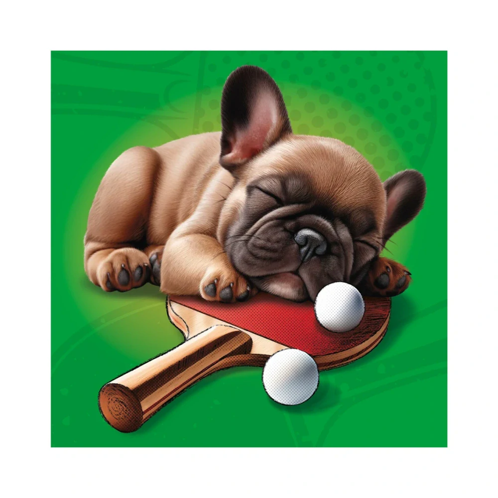 Dino Puzzle Psí sportovci 3x55 dílků