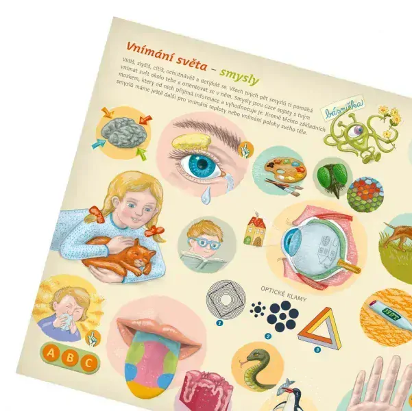 Albi Kouzelné čtení Kniha Lidské tělo